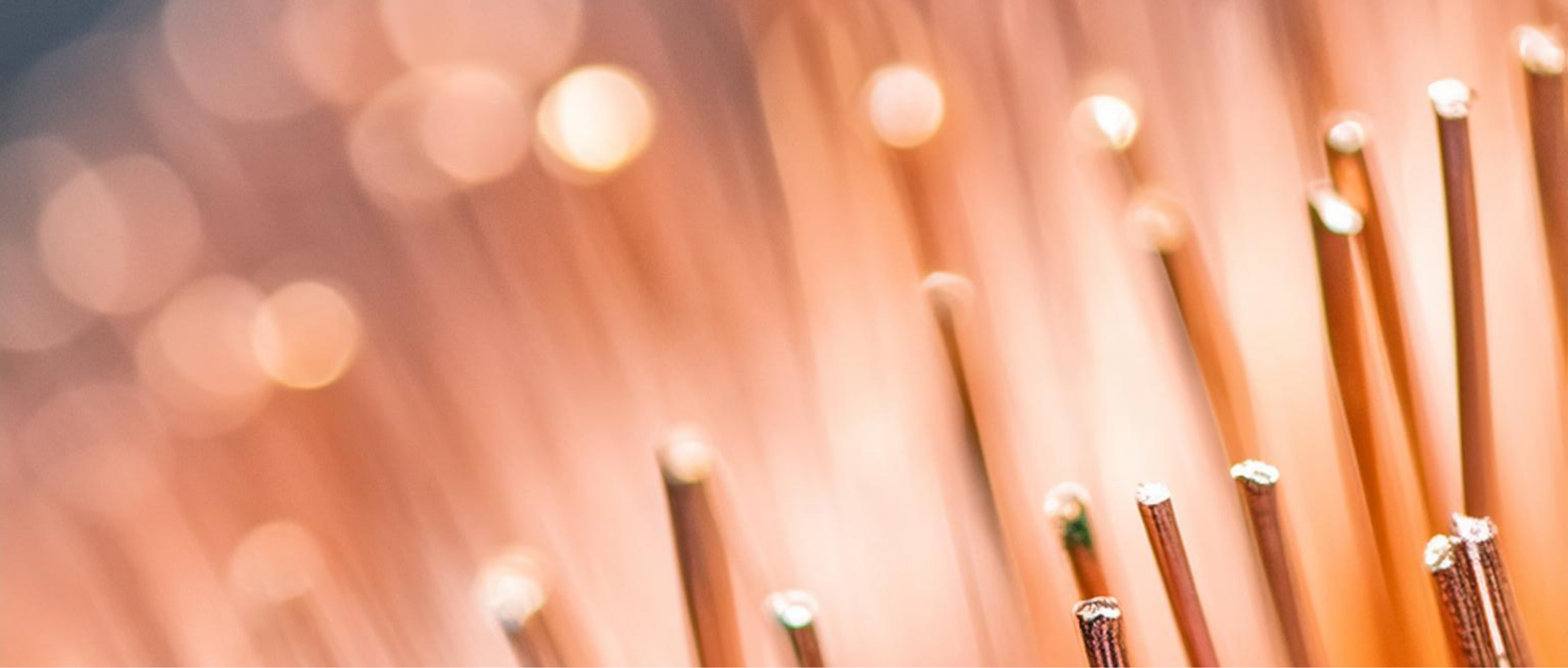 The Connection Blackstone Private Wealth Solutions